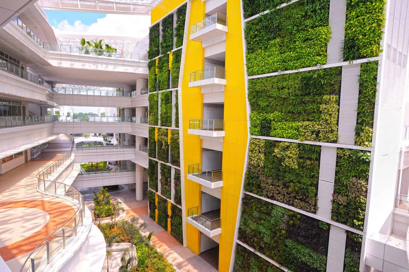 A closer look at Vertical Living Walls In High-Rise