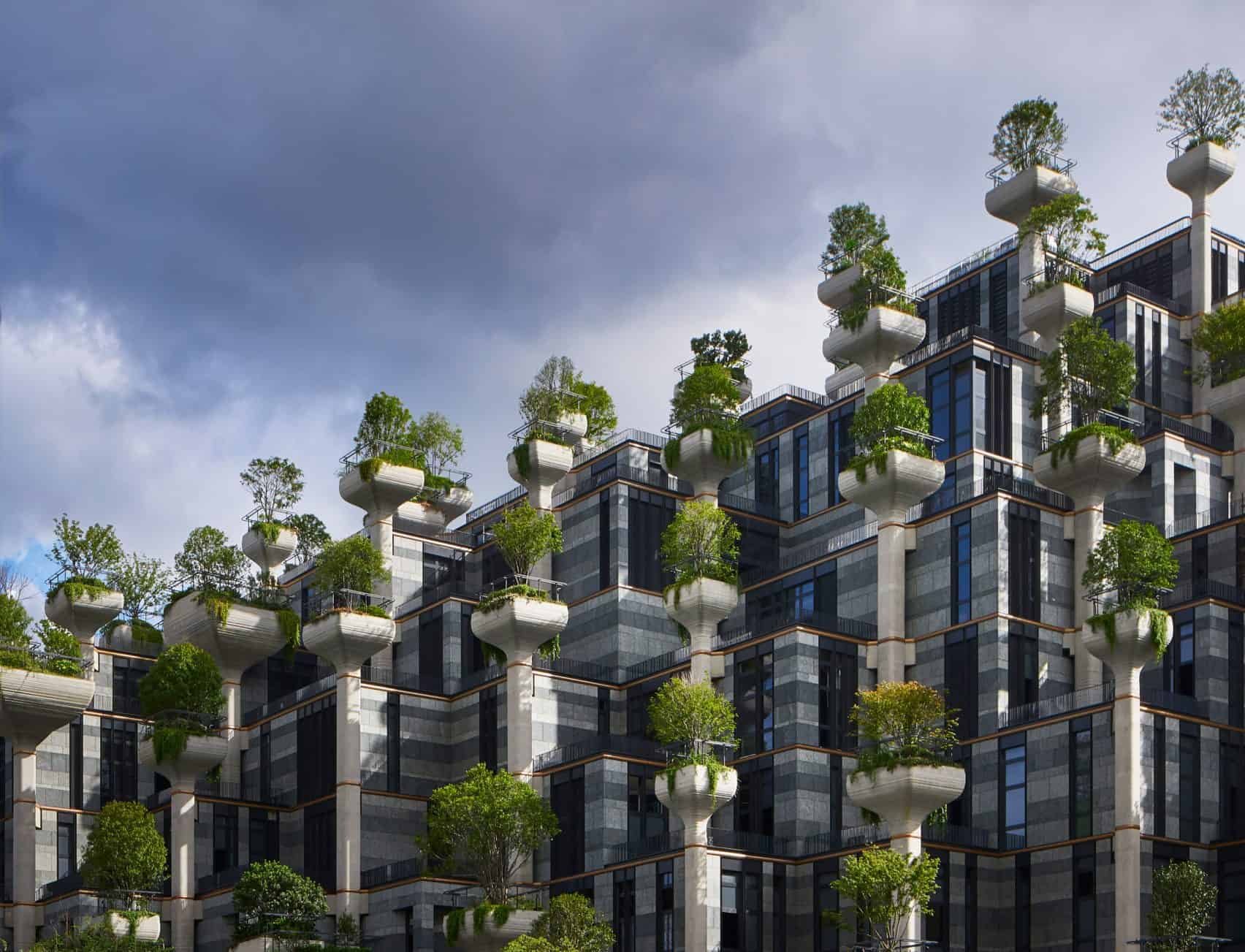 The 1000 Tree Complex In Shanghai MetaEfficient The 1000 Tree Complex In Shanghai MetaEfficient